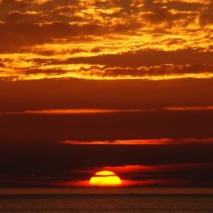 Meet your Posher, Ava